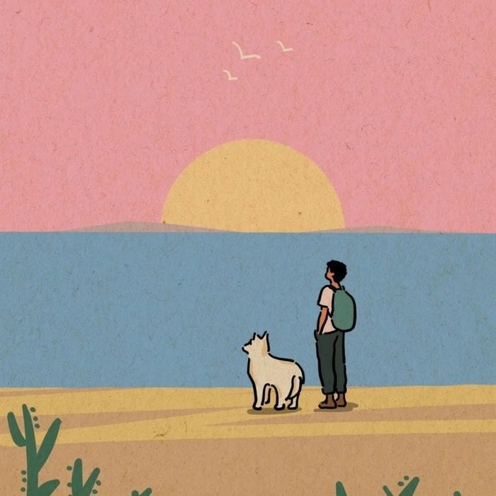 Avatar anime nam game thủ đi picnic