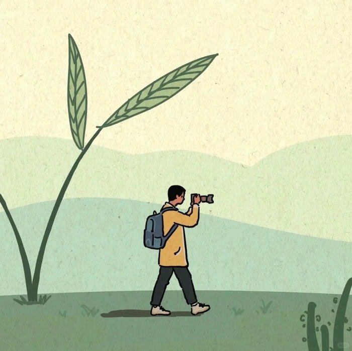 Avatar anime nam ngầu học đường