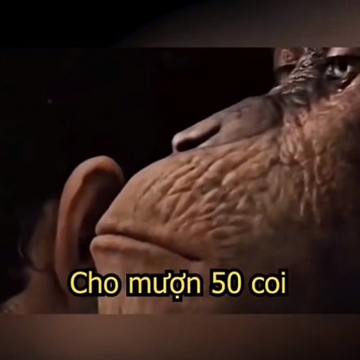 Cảm giác hết tiền hiện rõ meme xin tiền