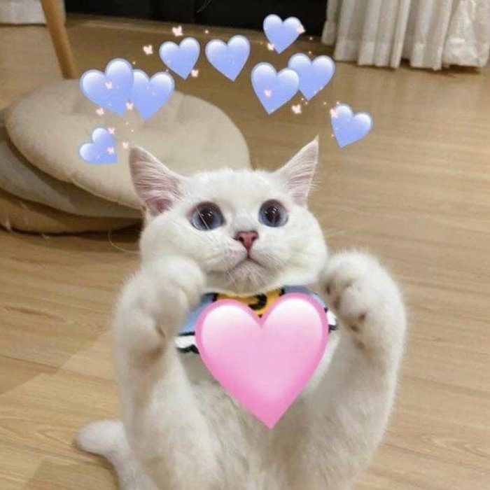 Khoảnh khắc đáng yêu nhờ meme thả tim