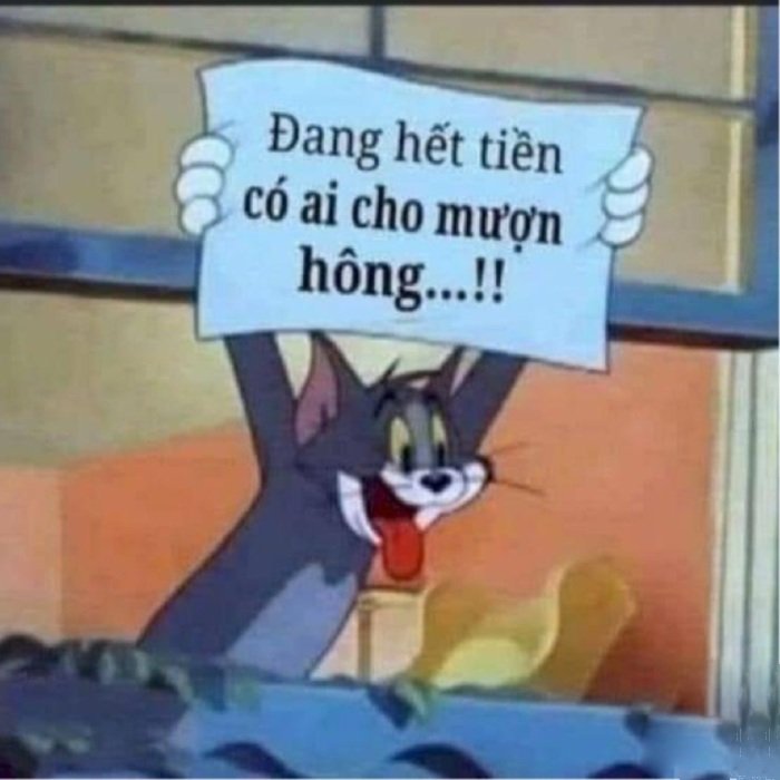 Khoảnh khắc lầy lội từ meme xin tiền