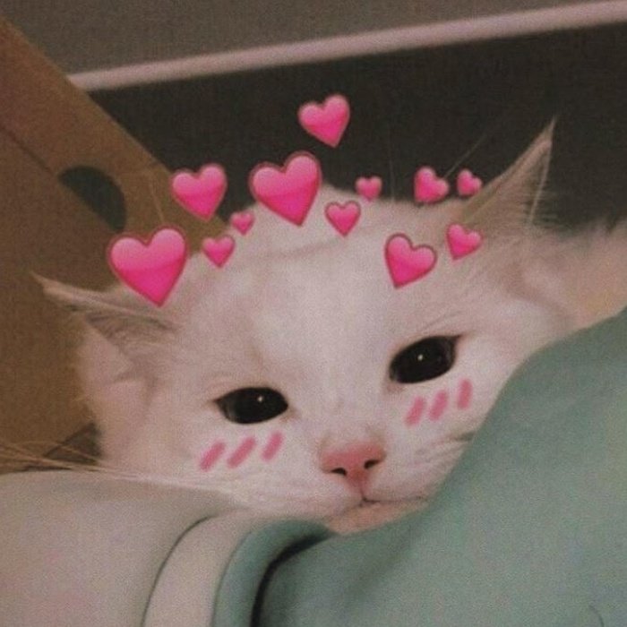 Phong cách chat ngọt cùng meme thả tim