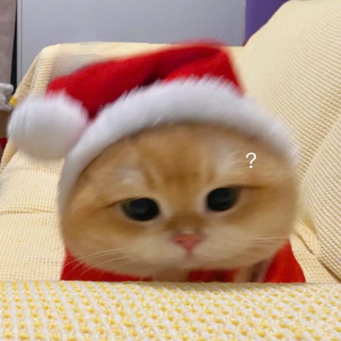 Sticker noel cho hội mê lễ hội