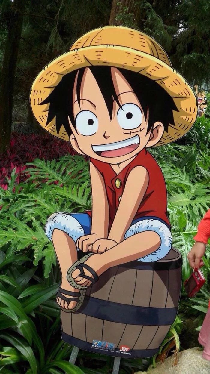 ảnh Luffy vui vẻ