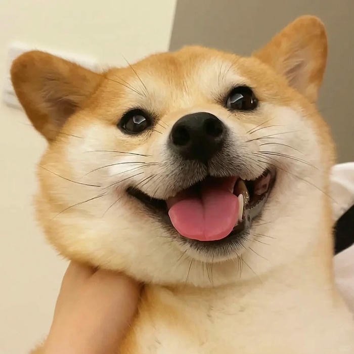 ảnh avatar cute phong cách chibi