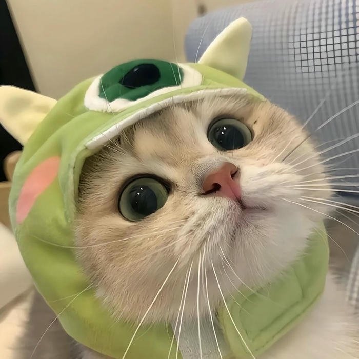 ảnh avatar mèo vô tri phong cách chibi