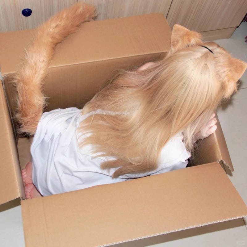 ảnh cosplay mèo style Nhật Bản