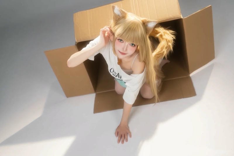 ảnh cosplay mèo tạo hình độc