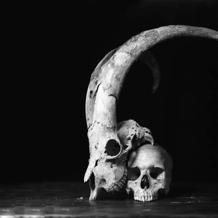 avatar đen trắng phong cách cá tính