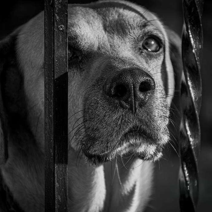 avatar đen trắng phong cách nghiêm túc