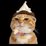 biểu cảm buồn nhẹ sticker mèo