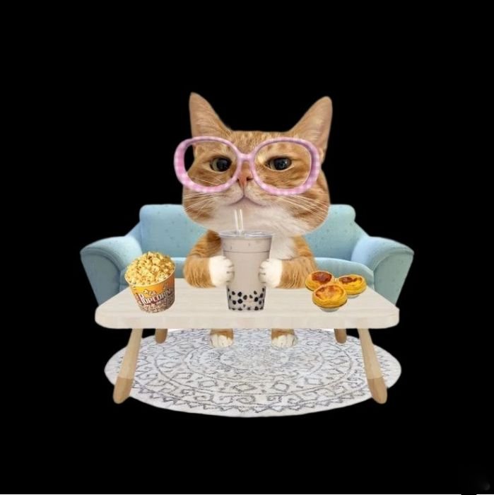 biểu cảm ngộ nghĩnh sticker mèo