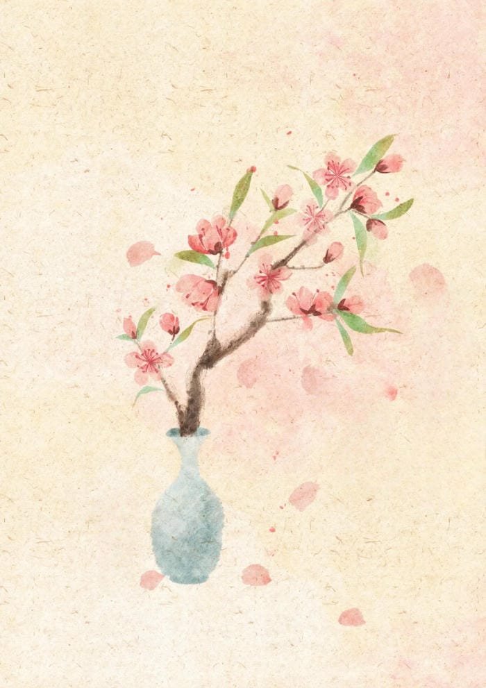 bức hoa đào mềm mại trên nền trắng