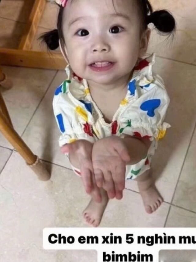 Tuyển tập 101+ meme xin tiền chế cực hài hước và bá đạo