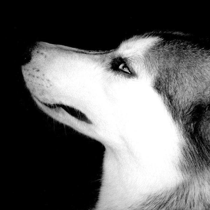 đen trắng avatar phong cách trầm lắng