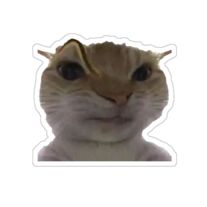 gửi bạn bè bằng sticker mèo