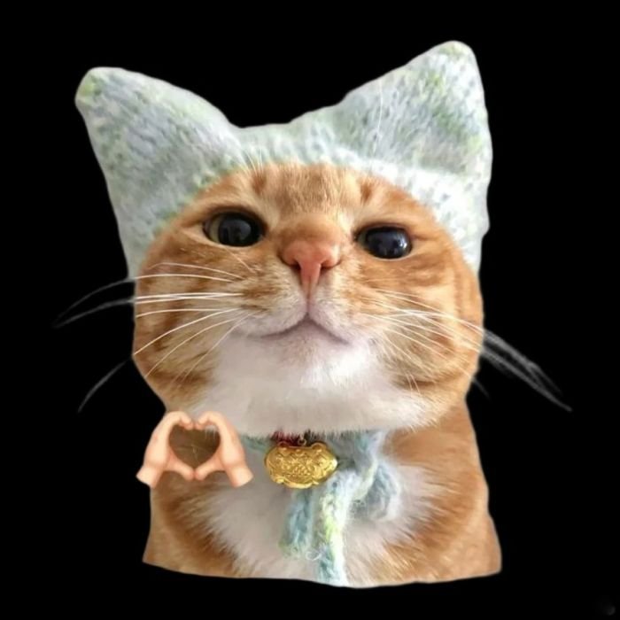 gửi cảm xúc bằng sticker mèo