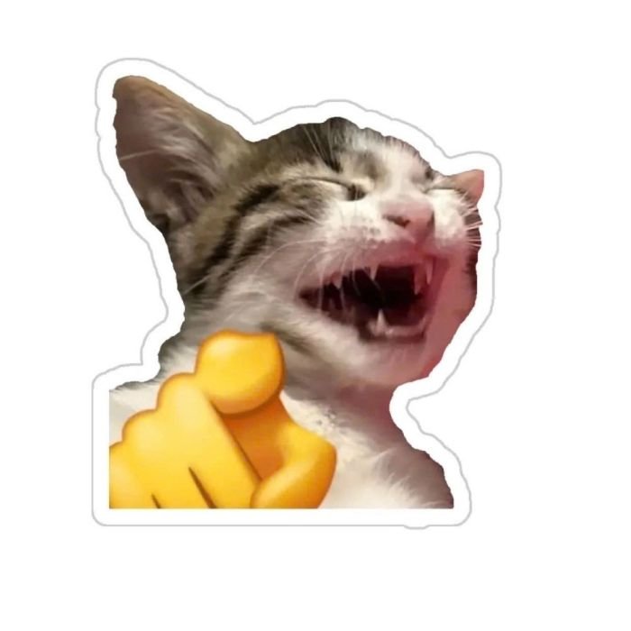 gửi tin nhắn bằng sticker mèo