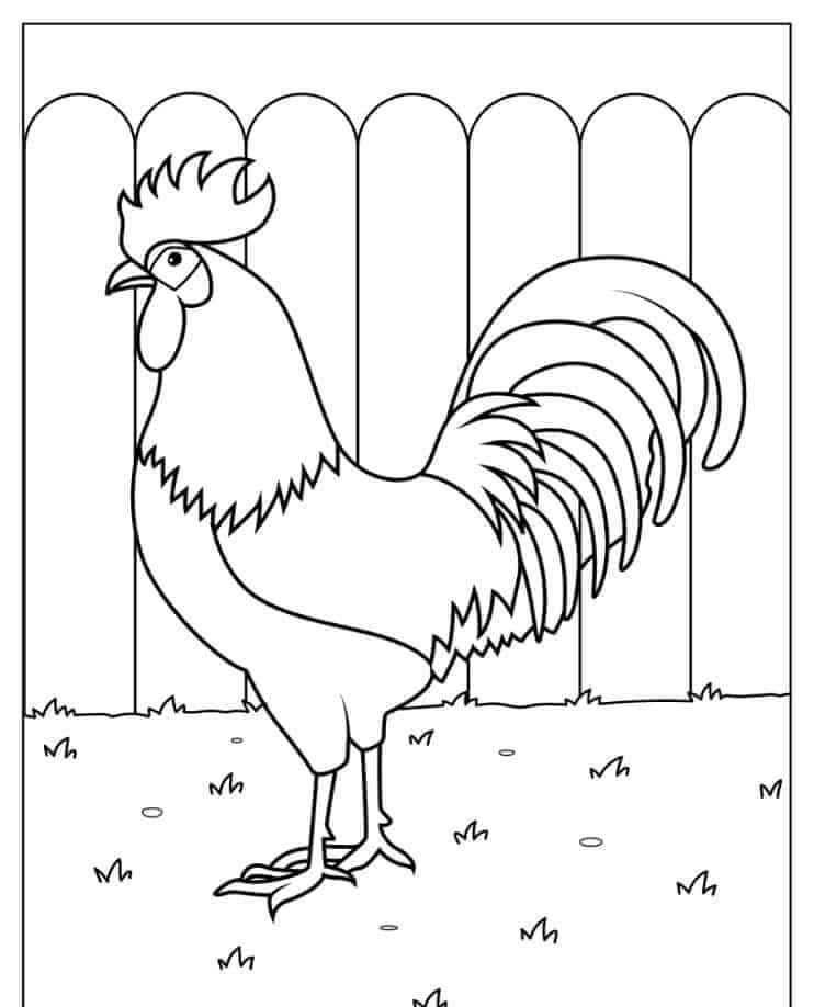hình ảnh tranh tô màu gà trống sắc nét