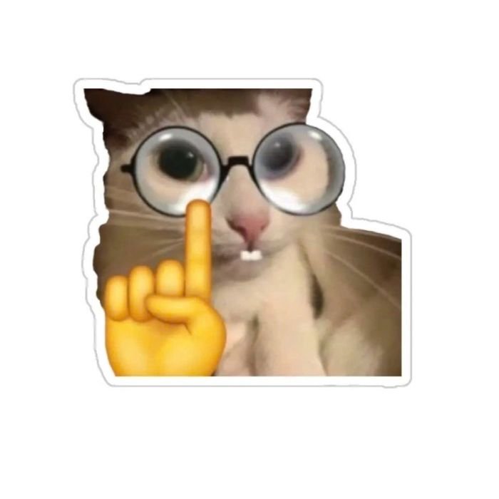 hình dán mèo xinh sticker mèo