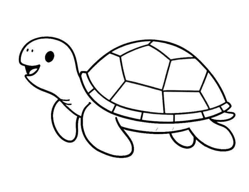 hình tô rùa có chiếc mai lớn đẹp