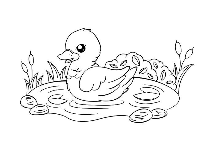 hình vẽ chú vịt quẫy cánh trong hồ