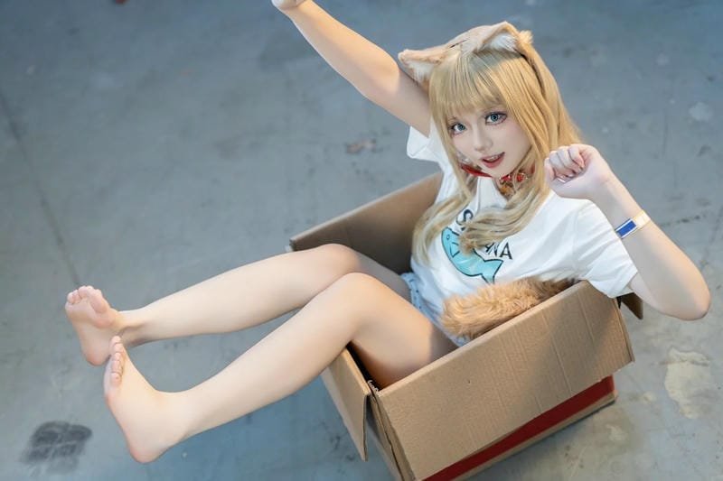 khung cảnh nhẹ nhàng của ảnh cosplay mèo