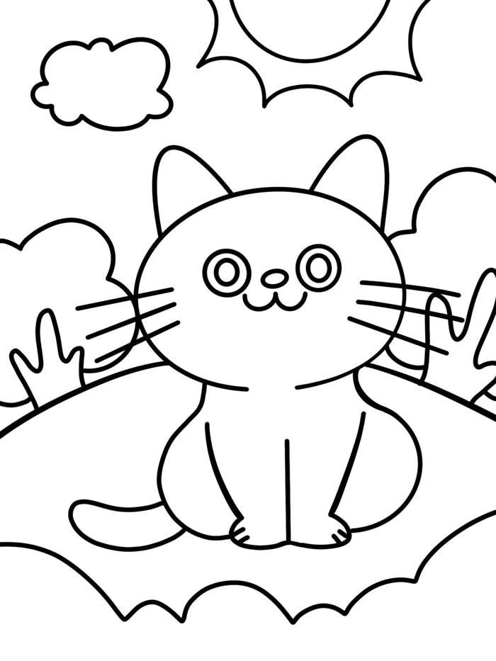 mẫu tô mèo baby béo tròn dễ thương