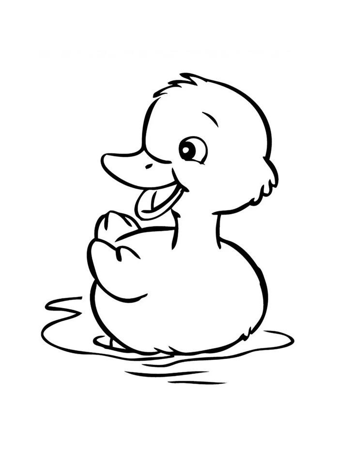 mẫu tranh vịt đen trắng giúp bé luyện nét