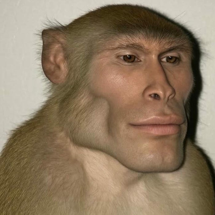 meme avatar phong cách hài hước cho mạng xã hội