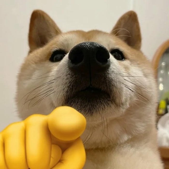 meme avatar phong cách internet hài