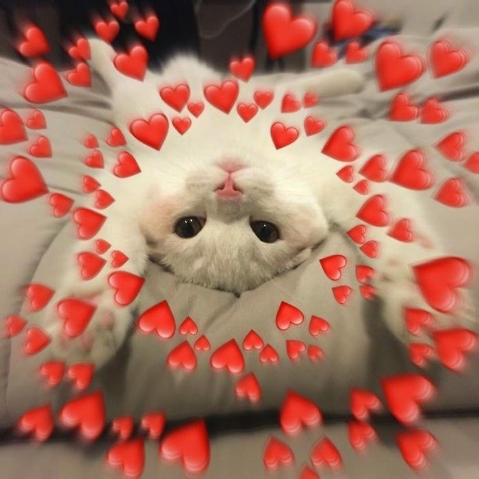 meme thả tim khiến ai cũng thích