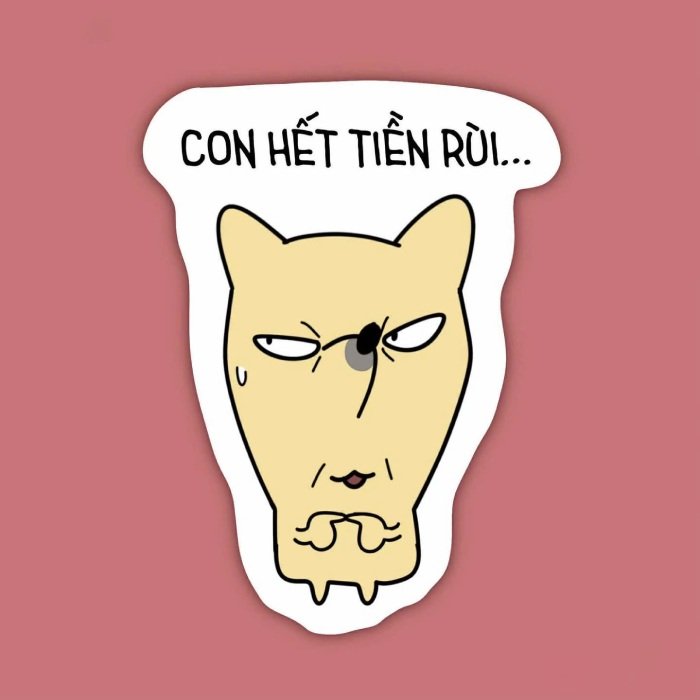 meme xin tiền phong cách lầy lội