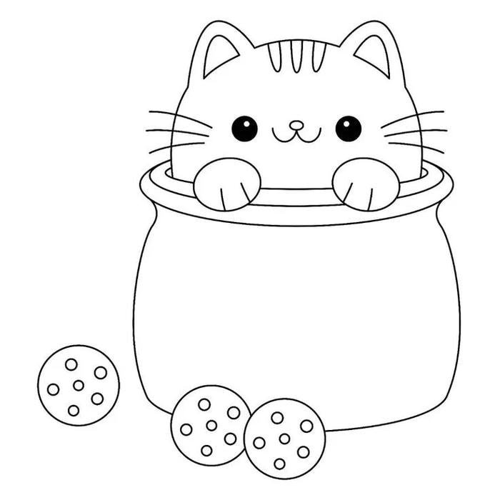 mèo con nằm trong thùng thư giãn