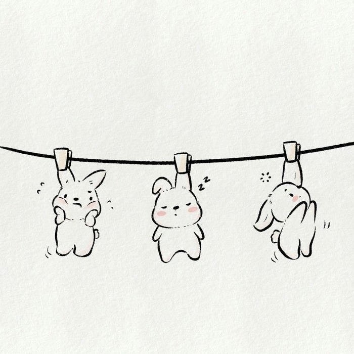 nhóm avatar ảnh đẹp phù hợp nhiều nền tảng