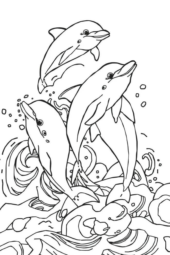 phác thảo cá heo vui nhộn dễ vẽ