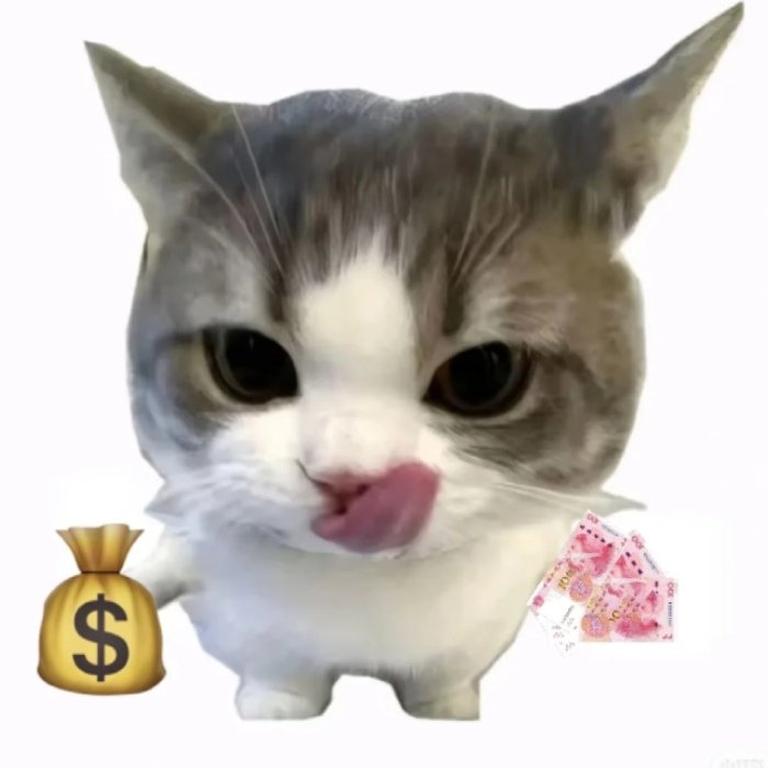 phản chiếu áp lực tiền meme tiền