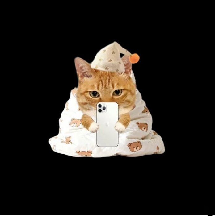 phong cách chibi sticker mèo cực hay