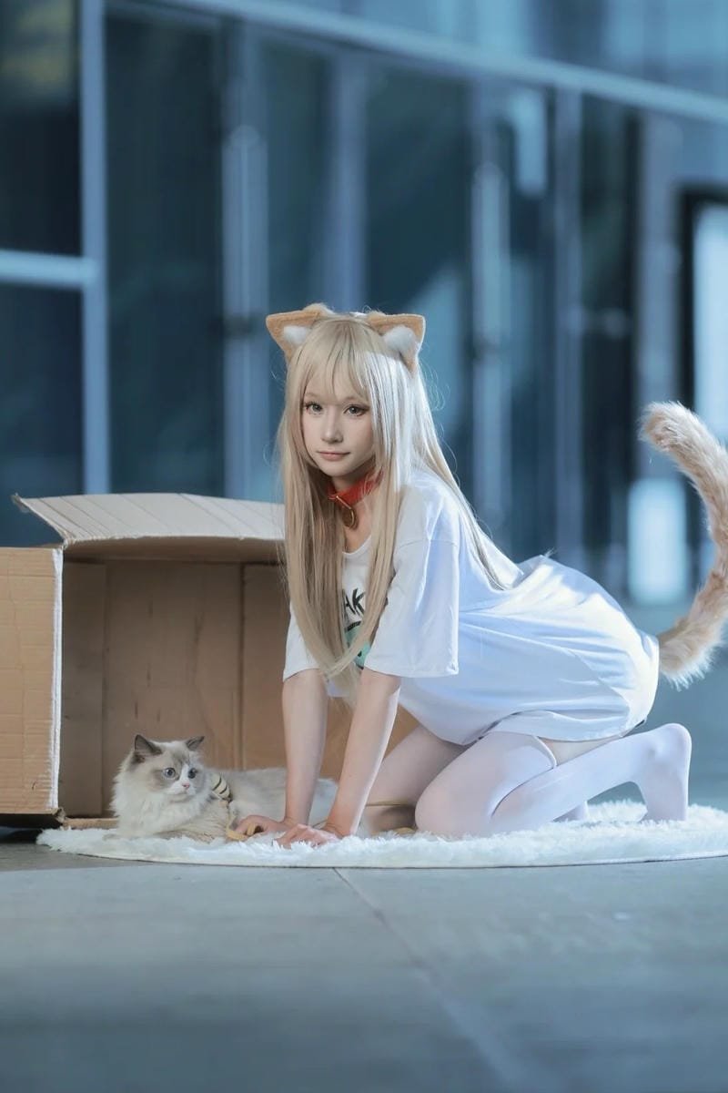 phong cách dễ thương trong ảnh cosplay mèo