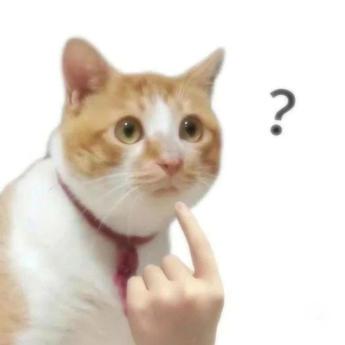 phong cách vui tươi sticker mèo