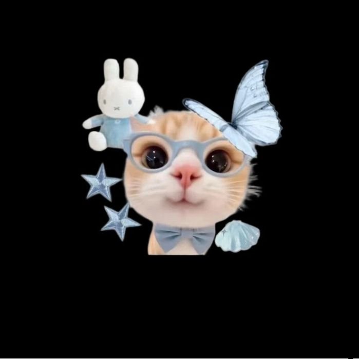 sticker mèo dùng cho mạng xã hội