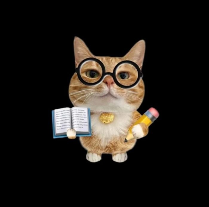 sưu tập sticker mèo nhìn rất cute