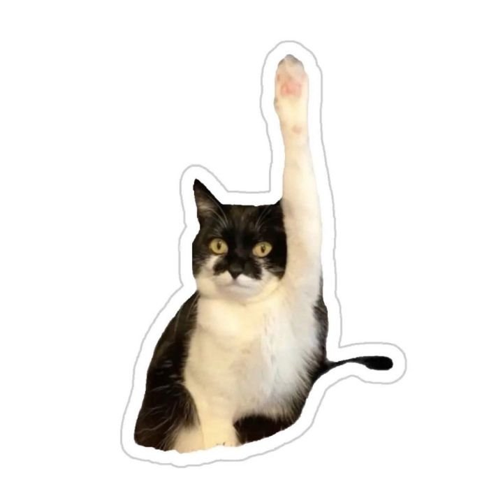 tải ảnh dễ thương sticker mèo