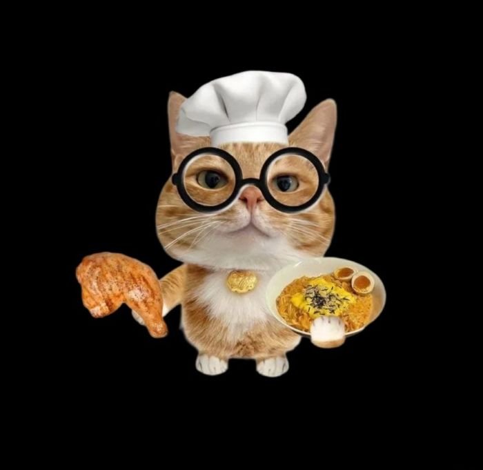 tải ảnh hoạt hình sticker mèo