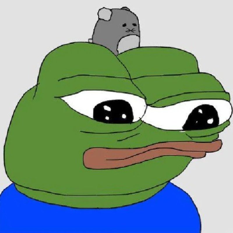 tình cảnh khó bênh meme ếch xanh bựa