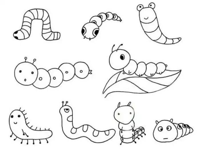 tranh chú sâu đa dạng nhiều mẫu