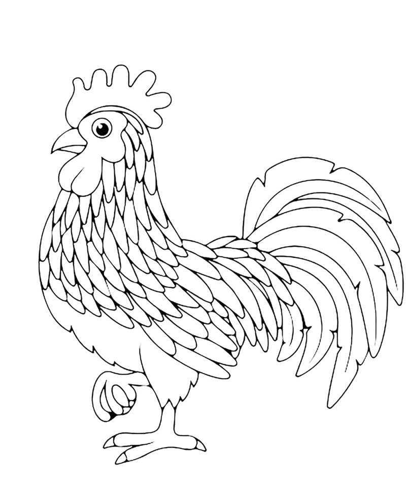 tranh gà trống đang đứng trên đá