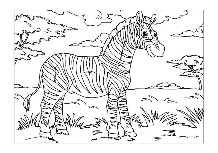 tranh tô màu hình con ngựa vằn dễ cho bé