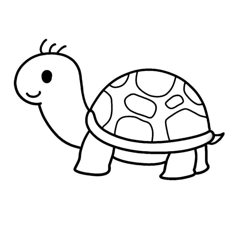 tranh tô rùa đáng yêu ít chi tiết