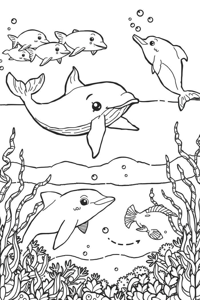 tranh vẽ cá heo bơi đôi nhẹ nhàng